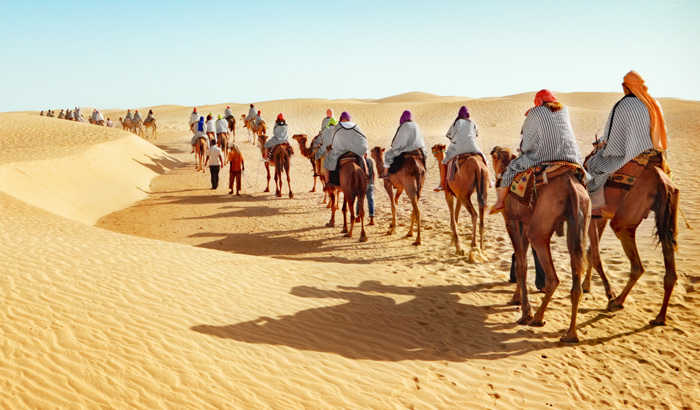 Прогулка на верблюдах в пустыне
